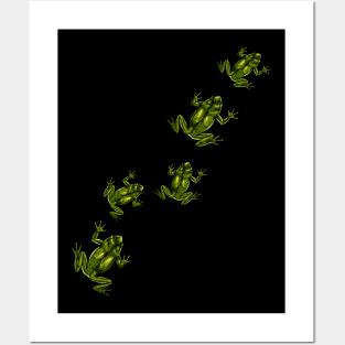 Frogs on the move - frog migration Posters and Art